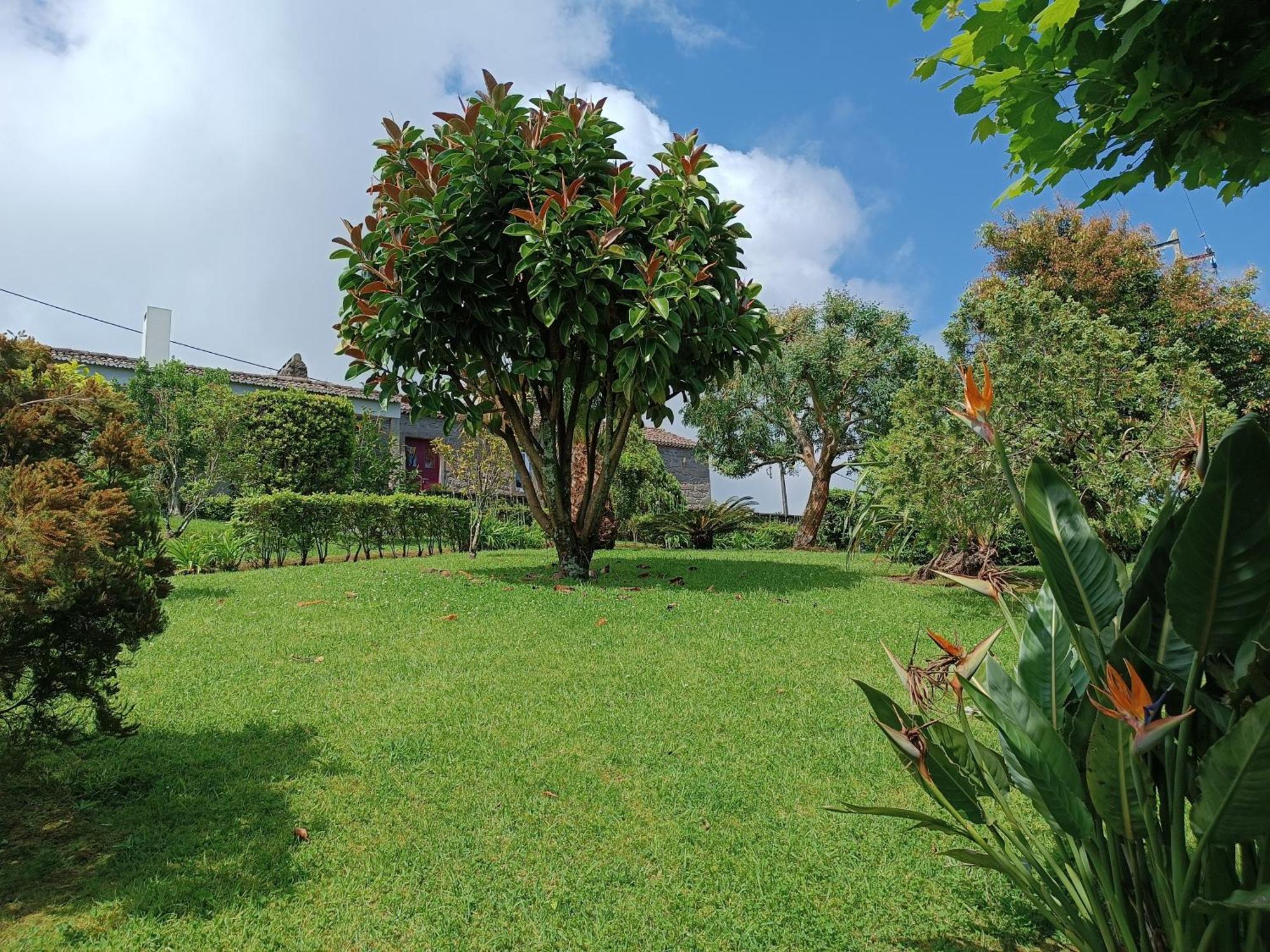 Tradicampo Eco Country Houses Nordeste  Exterior foto